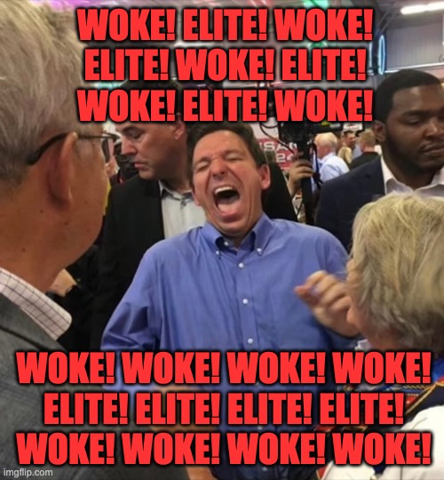 WOKE! ELITE! WOKE! ELITE! | WOKE! ELITE! WOKE!
ELITE! WOKE! ELITE!
WOKE! ELITE! WOKE! WOKE! WOKE! WOKE! WOKE!
ELITE! ELITE! ELITE! ELITE!
WOKE! WOKE! WOKE! WOKE! | image tagged in desantis,politics,trump,republicans,woke,elite | made w/ Imgflip meme maker