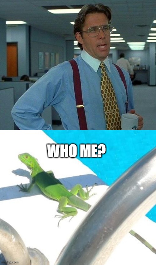 Who me? | WHO ME? | image tagged in memes,that would be great,who me | made w/ Imgflip meme maker