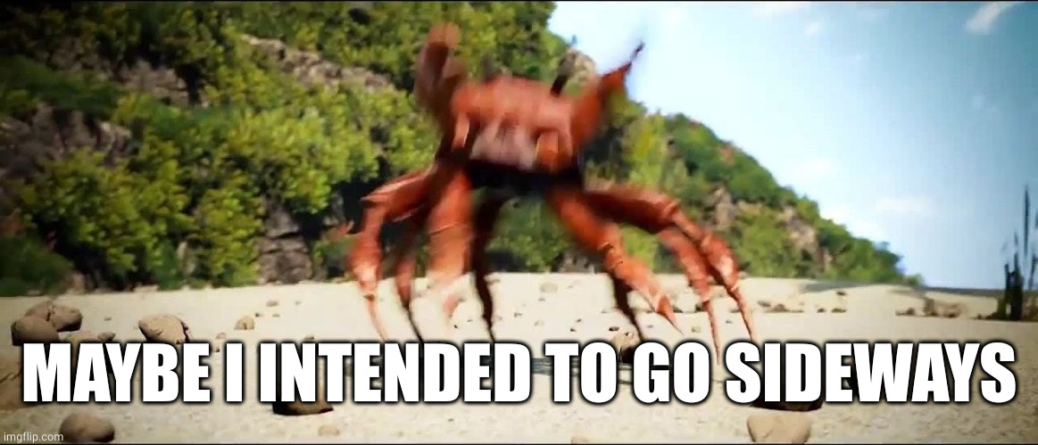 Crab Rave | MAYBE I INTENDED TO GO SIDEWAYS | image tagged in crab rave | made w/ Imgflip meme maker