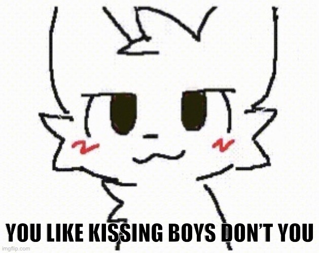 you like kissing boys | YOU LIKE KISSING BOYS DON’T YOU | image tagged in you like kissing boys | made w/ Imgflip meme maker