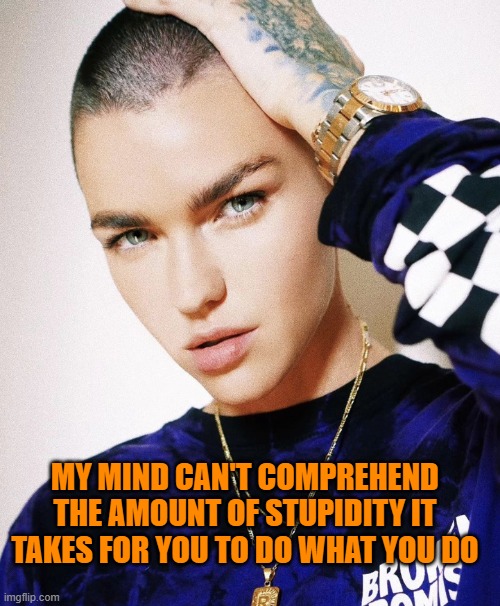 Don't understand | MY MIND CAN'T COMPREHEND THE AMOUNT OF STUPIDITY IT TAKES FOR YOU TO DO WHAT YOU DO | image tagged in ruby rose,funny,relatable,sarcastic,how,why | made w/ Imgflip meme maker