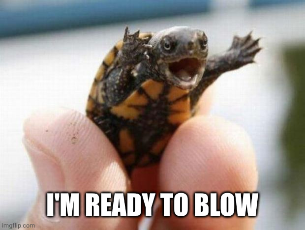happy baby turtle | I'M READY TO BLOW | image tagged in happy baby turtle | made w/ Imgflip meme maker