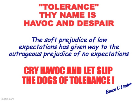 Cry Havoc ! | CRY HAVOC AND LET SLIP THE DOGS OF TOLERANCE ! Bruce C Linder | image tagged in havoc,despair,tolerance,soft prejudice,low expectations,let slip the dogs of war | made w/ Imgflip meme maker
