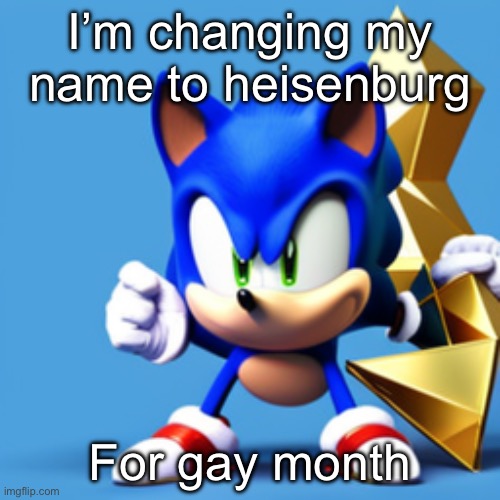 sonk | I’m changing my name to heisenburg; For gay month | image tagged in sonk | made w/ Imgflip meme maker