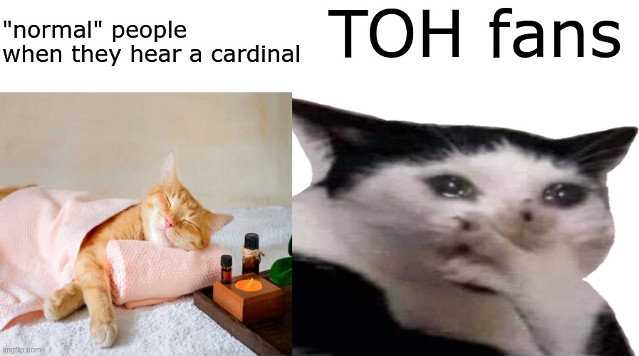 if you know, you know | TOH fans; "normal" people when they hear a cardinal | image tagged in sadge | made w/ Imgflip meme maker