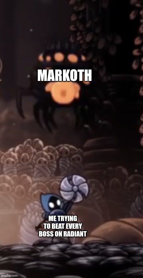 Hollow knight is a game for masochists | MARKOTH; ME TRYING TO BEAT EVERY BOSS ON RADIANT | image tagged in tiso,hollow knight | made w/ Imgflip meme maker