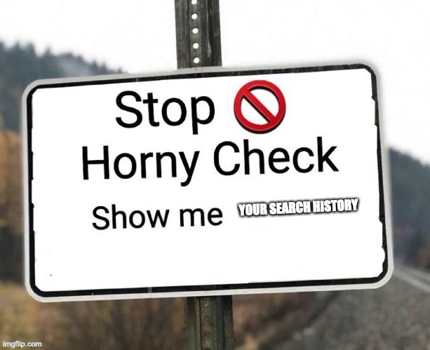 1 rule: don't clear it | YOUR SEARCH HISTORY | image tagged in horny check | made w/ Imgflip meme maker