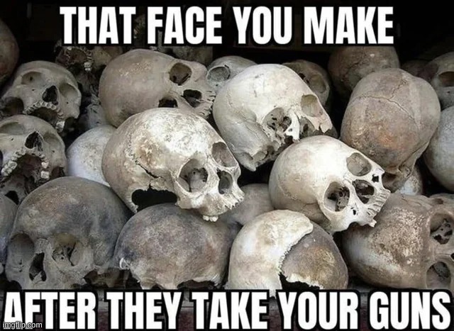 They did that in USSR, China, Rwanda, and the Ottoman Empire. How'd that turn out? | image tagged in gun control,genocide | made w/ Imgflip meme maker