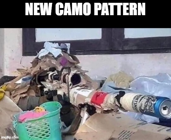 we always get the weirdest camos | NEW CAMO PATTERN | image tagged in gaming | made w/ Imgflip meme maker