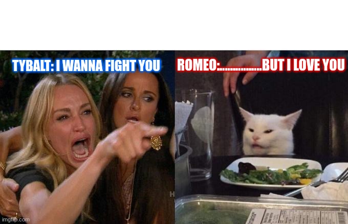 Woman Yelling At Cat | TYBALT: I WANNA FIGHT YOU; ROMEO:................BUT I LOVE YOU | image tagged in memes,woman yelling at cat | made w/ Imgflip meme maker