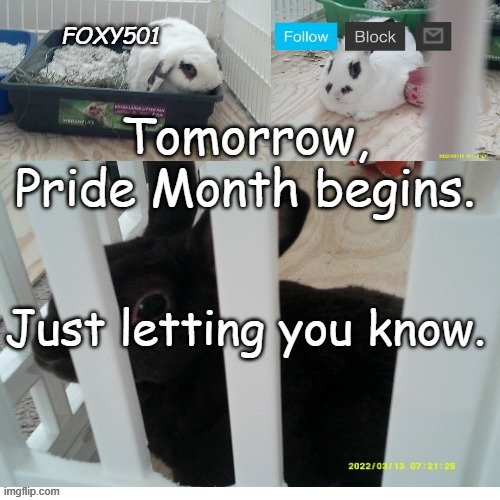 Foxy501 announcement template | Tomorrow, Pride Month begins. Just letting you know. | image tagged in foxy501 announcement template,pride month | made w/ Imgflip meme maker