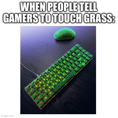 Touch Grass | WHEN PEOPLE TELL GAMERS TO TOUCH GRASS: | image tagged in touch grass | made w/ Imgflip meme maker