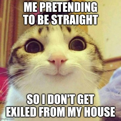 Smiling Cat | ME PRETENDING TO BE STRAIGHT; SO I DON'T GET EXILED FROM MY HOUSE | image tagged in memes,smiling cat,im too gay for this,dark humor,numbing the pain | made w/ Imgflip meme maker