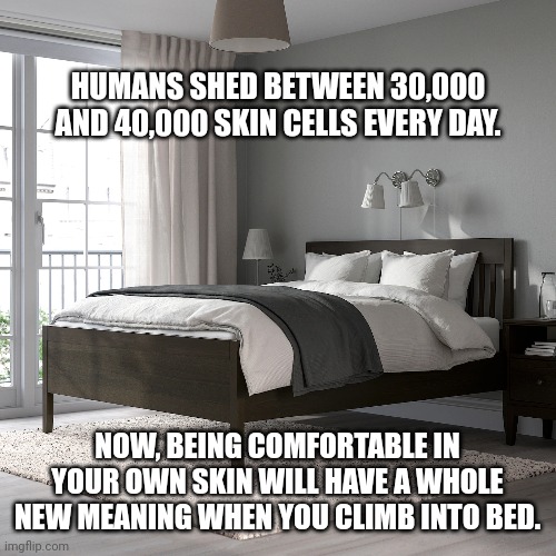 Comfortable in your skin | HUMANS SHED BETWEEN 30,000 AND 40,000 SKIN CELLS EVERY DAY. NOW, BEING COMFORTABLE IN YOUR OWN SKIN WILL HAVE A WHOLE NEW MEANING WHEN YOU CLIMB INTO BED. | image tagged in bed,skin | made w/ Imgflip meme maker