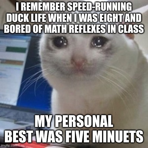 Crying cat | I REMEMBER SPEED-RUNNING DUCK LIFE WHEN I WAS EIGHT AND BORED OF MATH REFLEXES IN CLASS MY PERSONAL BEST WAS FIVE MINUETS | image tagged in crying cat | made w/ Imgflip meme maker