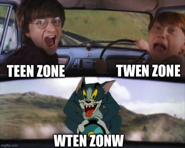 Tom chasing Harry and Ron Weasly | TWEN ZONE; TEEN ZONE; WTEN ZONW | image tagged in tom chasing harry and ron weasly | made w/ Imgflip meme maker
