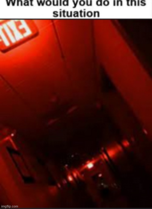 image tagged in what would you do in this situation,run for your life | made w/ Imgflip meme maker