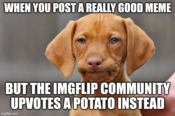 For real though | WHEN YOU POST A REALLY GOOD MEME; BUT THE IMGFLIP COMMUNITY UPVOTES A POTATO INSTEAD | image tagged in dissapointed puppy | made w/ Imgflip meme maker