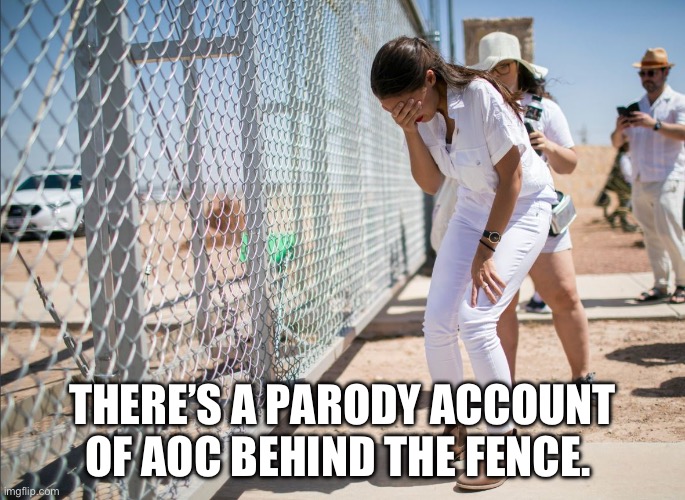 AOC discovers the existence of fences | THERE’S A PARODY ACCOUNT OF AOC BEHIND THE FENCE. | image tagged in aoc discovers the existence of fences | made w/ Imgflip meme maker