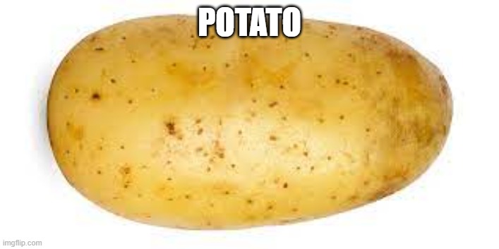 potato | POTATO | image tagged in potato | made w/ Imgflip meme maker
