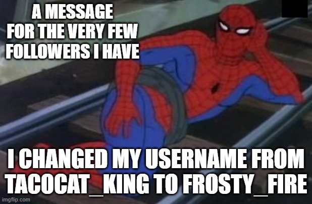 just thought it was cooler and my old name was kinda cringe | A MESSAGE FOR THE VERY FEW FOLLOWERS I HAVE; I CHANGED MY USERNAME FROM TACOCAT_KING TO FROSTY_FIRE | image tagged in memes,sexy railroad spiderman,spiderman | made w/ Imgflip meme maker