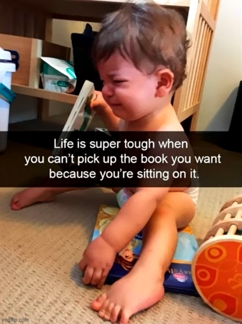 image tagged in child,book,sitting | made w/ Imgflip meme maker
