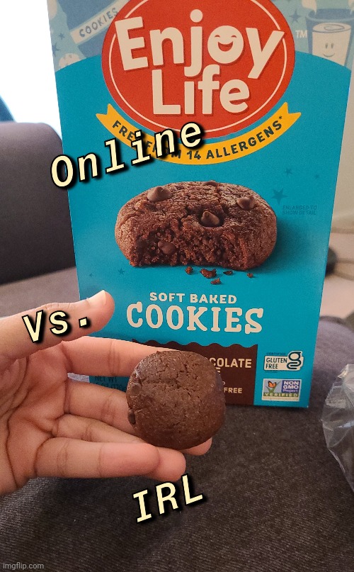 Online vs IRL | image tagged in online vs irl,online,real life,cookies,big,small | made w/ Imgflip meme maker