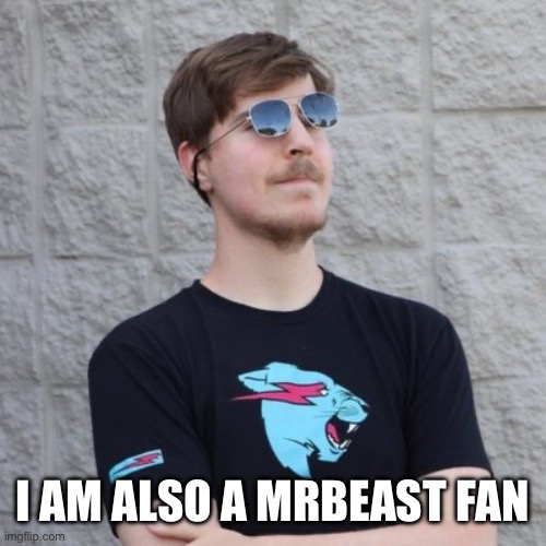 Mr. Beast | I AM ALSO A MRBEAST FAN | image tagged in mr beast | made w/ Imgflip meme maker