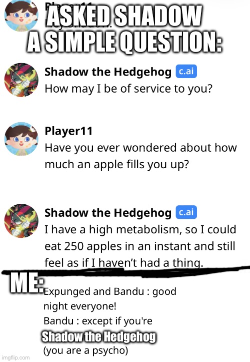 Sheesh | ASKED SHADOW A SIMPLE QUESTION:; ME:; Shadow the Hedgehog | image tagged in apples | made w/ Imgflip meme maker