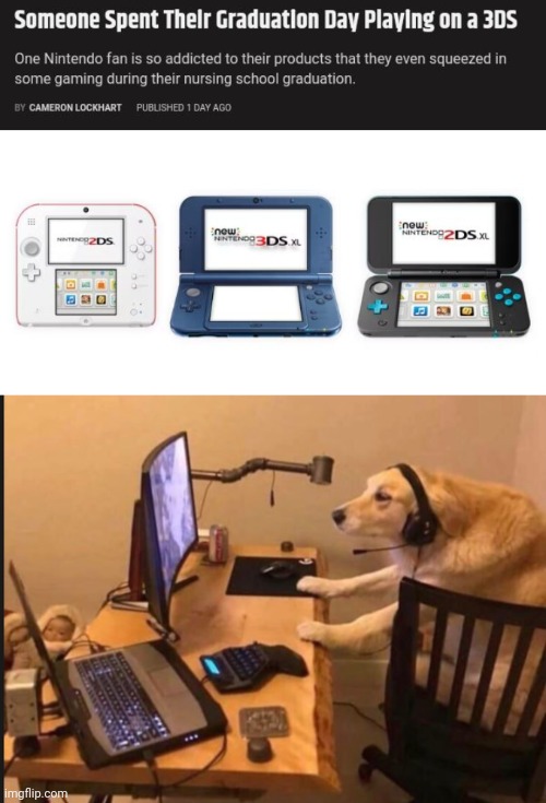 At graduation | image tagged in gamer dog,nintendo 3ds,3ds,gaming,memes,graduation | made w/ Imgflip meme maker