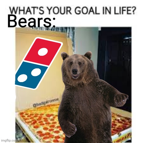 Important bear facts | Bears: | image tagged in bears,love,dominos,pizza | made w/ Imgflip meme maker