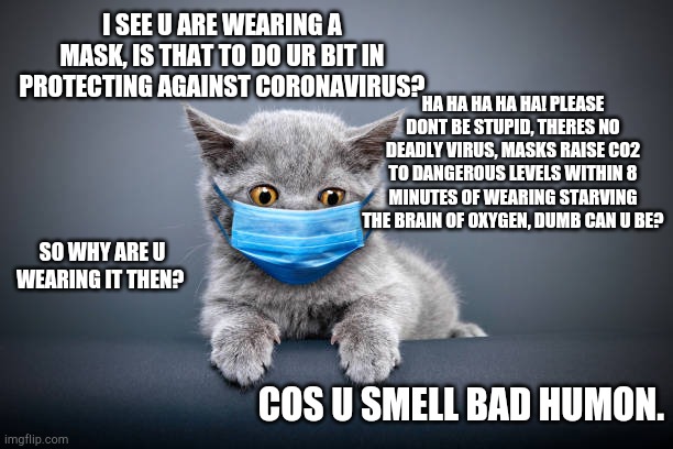 Dont forget what they did to people wearing these slave masks - even cats | I SEE U ARE WEARING A MASK, IS THAT TO DO UR BIT IN PROTECTING AGAINST CORONAVIRUS? HA HA HA HA HA! PLEASE DONT BE STUPID, THERES NO DEADLY VIRUS, MASKS RAISE CO2 TO DANGEROUS LEVELS WITHIN 8 MINUTES OF WEARING STARVING THE BRAIN OF OXYGEN, DUMB CAN U BE? SO WHY ARE U WEARING IT THEN? COS U SMELL BAD HUMON. | image tagged in scooby doo mask reveal | made w/ Imgflip meme maker