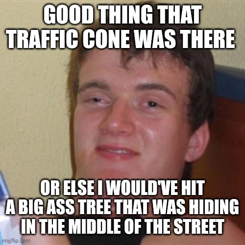 High/Drunk guy | GOOD THING THAT TRAFFIC CONE WAS THERE OR ELSE I WOULD'VE HIT A BIG ASS TREE THAT WAS HIDING IN THE MIDDLE OF THE STREET | image tagged in high/drunk guy | made w/ Imgflip meme maker