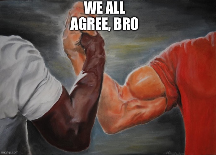 Holding hands | WE ALL AGREE, BRO | image tagged in holding hands | made w/ Imgflip meme maker