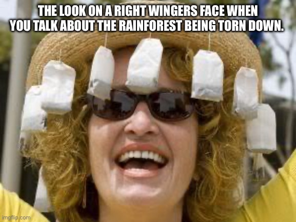 Tea Party | THE LOOK ON A RIGHT WINGERS FACE WHEN YOU TALK ABOUT THE RAINFOREST BEING TORN DOWN. | image tagged in tea party | made w/ Imgflip meme maker