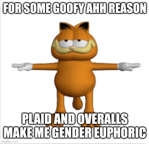 Pov: your a trans ftm that discovered plaid and overalls: | FOR SOME GOOFY AHH REASON; PLAID AND OVERALLS MAKE ME GENDER EUPHORIC | image tagged in garfield t-pose | made w/ Imgflip meme maker