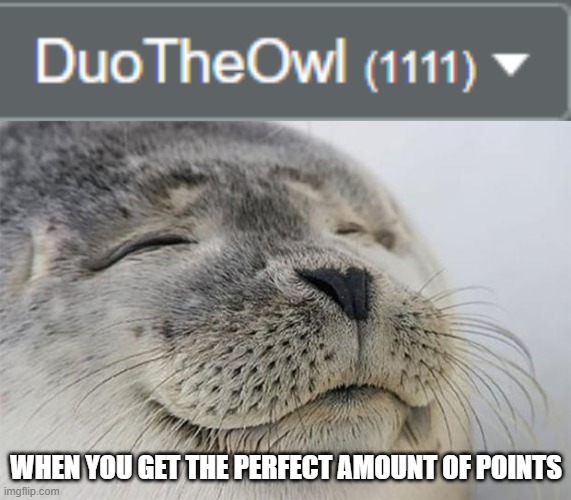The perfect amount of points | WHEN YOU GET THE PERFECT AMOUNT OF POINTS | image tagged in memes,satisfied seal | made w/ Imgflip meme maker