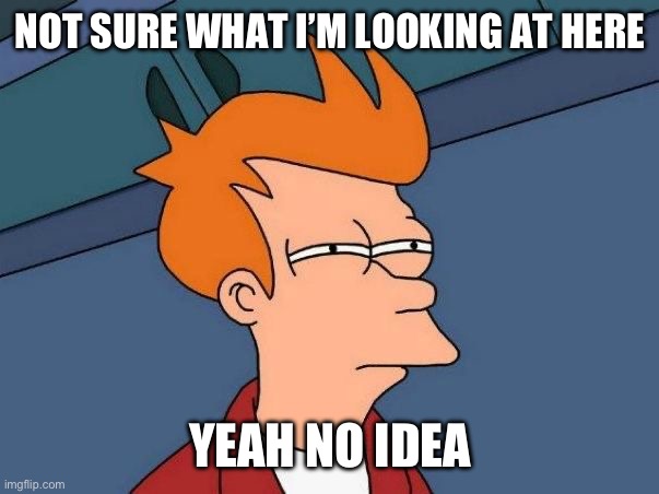 Not sure if- fry | NOT SURE WHAT I’M LOOKING AT HERE; YEAH NO IDEA | image tagged in not sure if- fry | made w/ Imgflip meme maker