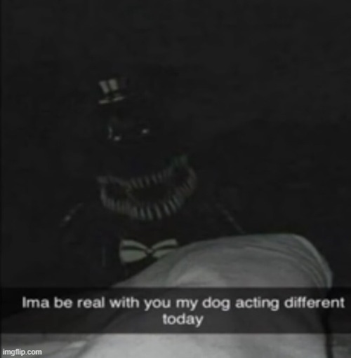 one of fnaf characters caught on camera | image tagged in fnaf | made w/ Imgflip meme maker