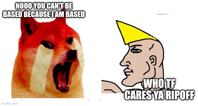 Buff doge is literally a chad thundercock ripoff | NOOO YOU CAN'T BE BASED BECAUSE I AM BASED; WHO TF CARES YA RIPOFF | image tagged in soyjak vs chad,buff doge,chad thundercock | made w/ Imgflip meme maker
