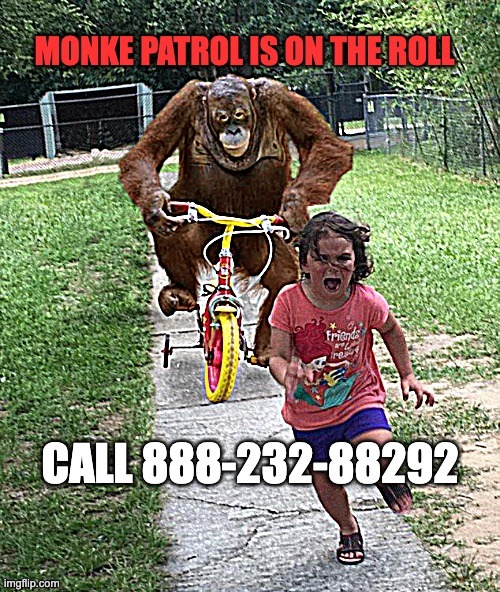MONKEY patrol | image tagged in monkey patrol,orangutan chasing girl on a tricycle,funny memes,business,lol,dank | made w/ Imgflip meme maker