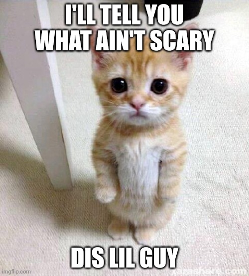 Very cute 10/10 | I'LL TELL YOU WHAT AIN'T SCARY; DIS LIL GUY | image tagged in memes,cute cat | made w/ Imgflip meme maker