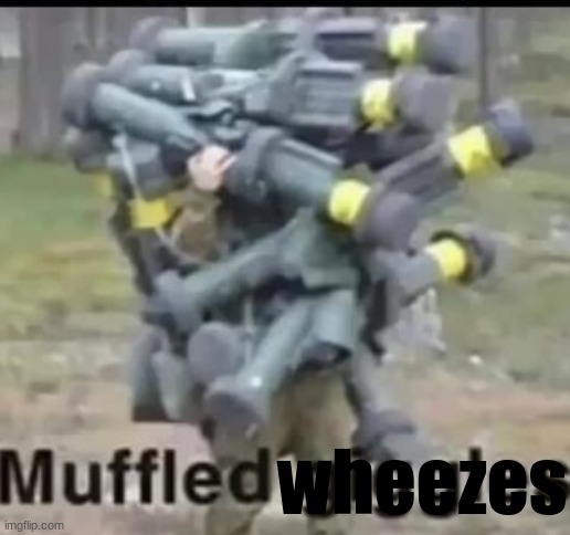 Muffled giggles | wheezes | image tagged in muffled giggles | made w/ Imgflip meme maker