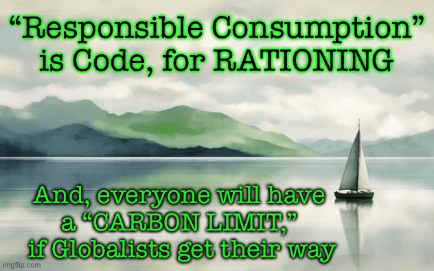 If usage of these words become typical & common….  It’s Too Late.  Stop Them NOW | “Responsible Consumption”
is Code, for RATIONING; And, everyone will have 
a “CARBON LIMIT,” 
if Globalists get their way | image tagged in memes,globalist freaks r continuing the push,if they push it thru,we r toast,stop the madness stop the lefties,fjb voters | made w/ Imgflip meme maker