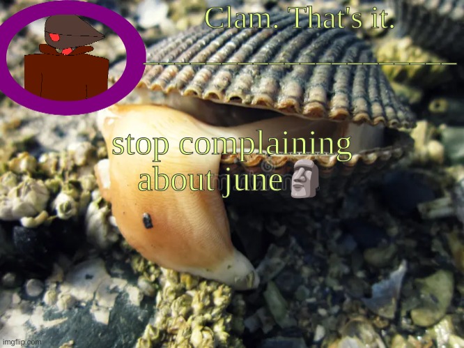 its childish as fuck | stop complaining about june🗿 | made w/ Imgflip meme maker