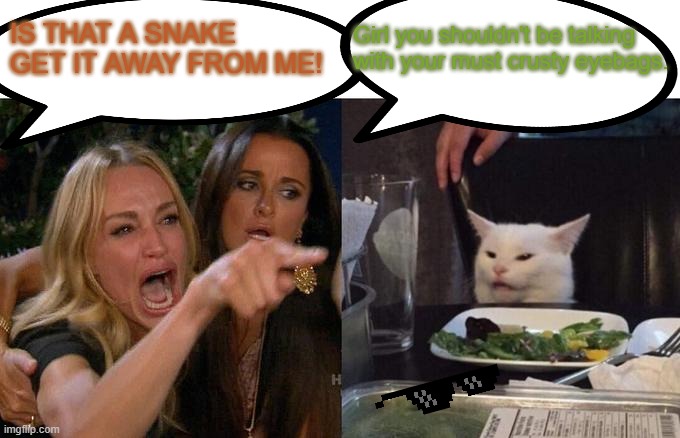 Woman Yelling At Cat Meme | IS THAT A SNAKE GET IT AWAY FROM ME! Girl you shouldn't be talking with your must crusty eyebags. | image tagged in memes,woman yelling at cat | made w/ Imgflip meme maker
