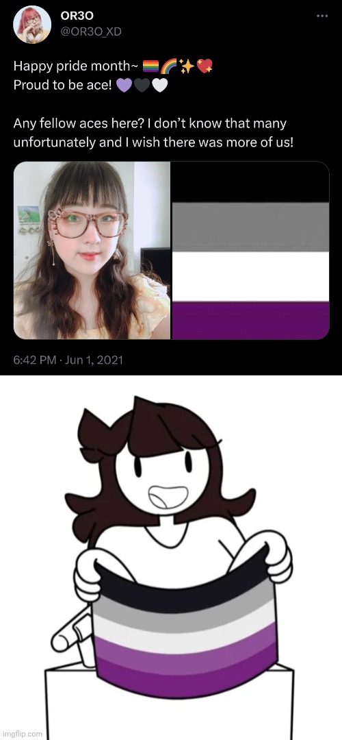 My Favorite Asexual Asian Content Creators <3 | image tagged in asexual,jaiden animations,lgbtq | made w/ Imgflip meme maker