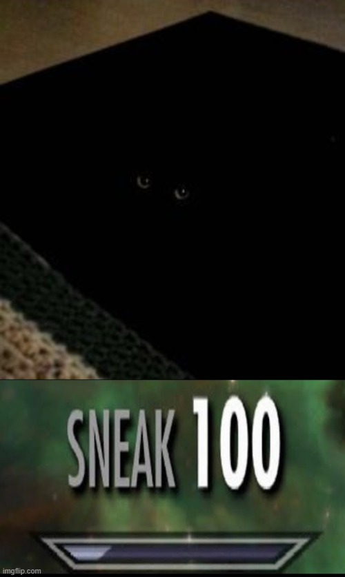 sneak 100 | image tagged in sneak 100 | made w/ Imgflip meme maker