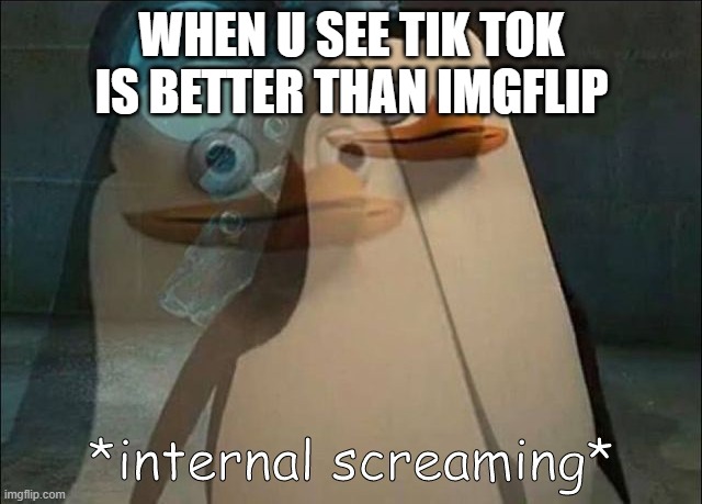 THATS ME | WHEN U SEE TIK TOK IS BETTER THAN IMGFLIP | image tagged in private internal screaming | made w/ Imgflip meme maker