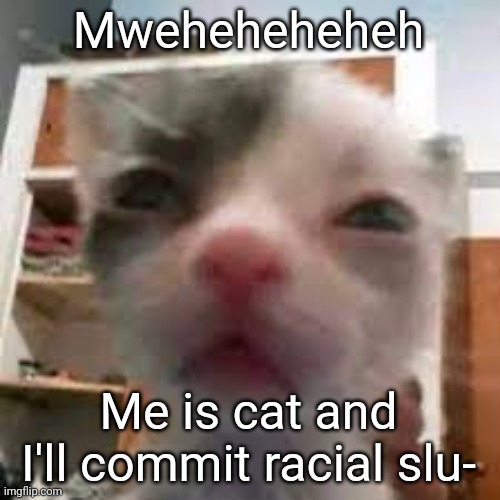 Cat lightskin stare | Mweheheheheh Me is cat and I'll commit racial slu- | image tagged in cat lightskin stare | made w/ Imgflip meme maker